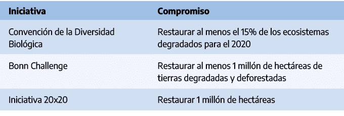 Iniciativa,Compromiso,Convenci n de la Diversidad Biol gica,Restaurar al menos el 15% de los ecosistemas degradados p...