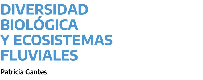 Diversidad biol gica y ecosistemas fluviales ﻿Patricia Gantes 