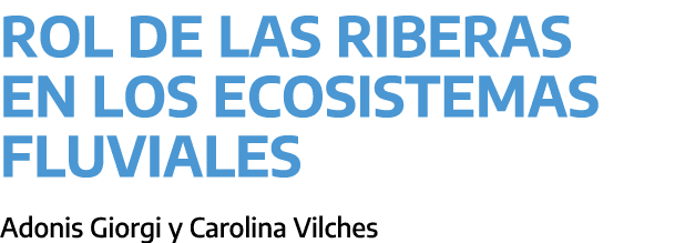 Rol de las riberas en los ecosistemas fluviales ﻿Adonis Giorgi y Carolina Vilches