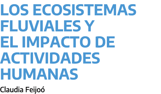 Los ecosistemas fluviales y el impacto de actividades humanas ﻿Claudia Feijo 