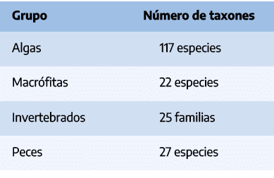 Grupo,N mero de taxones,Algas,117 especies,Macr fitas,22 especies,Invertebrados,25 familias,Peces,27 especies