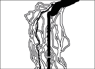 Rectangle