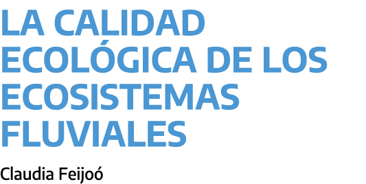 La calidad ecol gica de los ecosistemas fluviales ﻿Claudia Feijo 