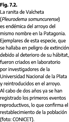 Fig. 7.2. La ranita de Valcheta (Pleurodema somuncurense) es end mica del arroyo del mismo nombre en la Patagonia. Ej...