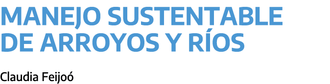 Manejo sustentable de arroyos y r os ﻿Claudia Feijo 