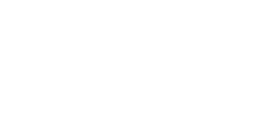 Feed 