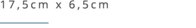 17,5cm x 6,5cm ￼ 