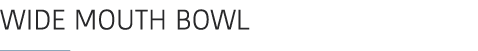 Wide mouth bowl ￼ 