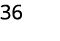 36 